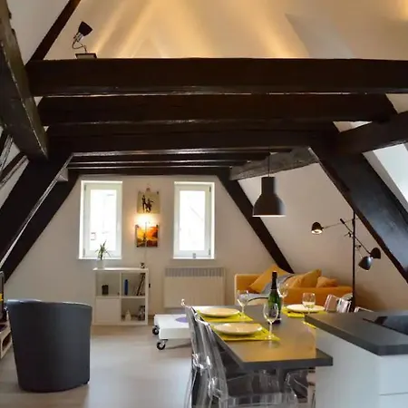 Bretzel & Raisin - Hypercentre De Apartamento Colmar